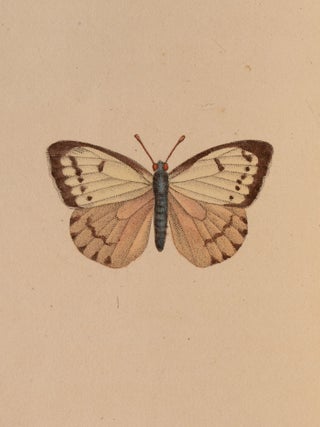 Le Luth Fran&ccedil;ais. Almanach Lyrique, D&eacute;di&eacute; aux Dames