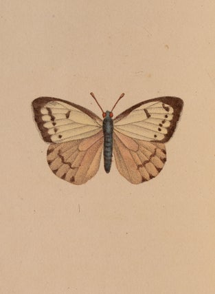 Le Luth Français. Almanach Lyrique, Dédié aux Dames